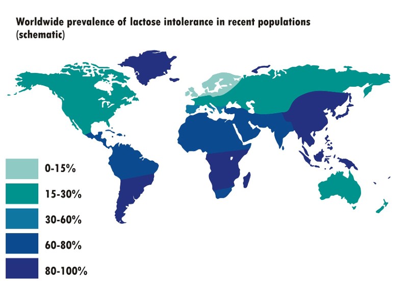 Anteil der Bev&ouml;lkerung mit Lactoseintoleranz in Abh&auml;ngigkeit von der geographischen Herkunft