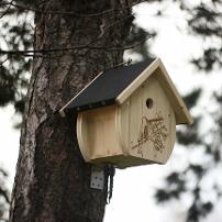 Vogelnistkasten_WB2-Kopie_1.jpg