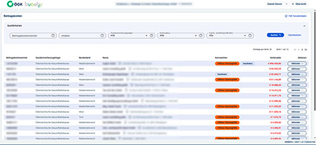 Screenshot eines Bevollm&auml;chtigtenreports im DG-Dashboard